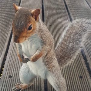 Meet your Posher, Matt